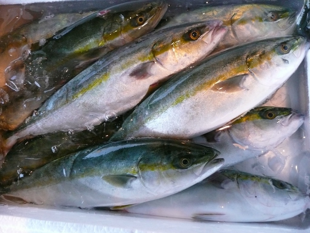 厳選した味付けと食材